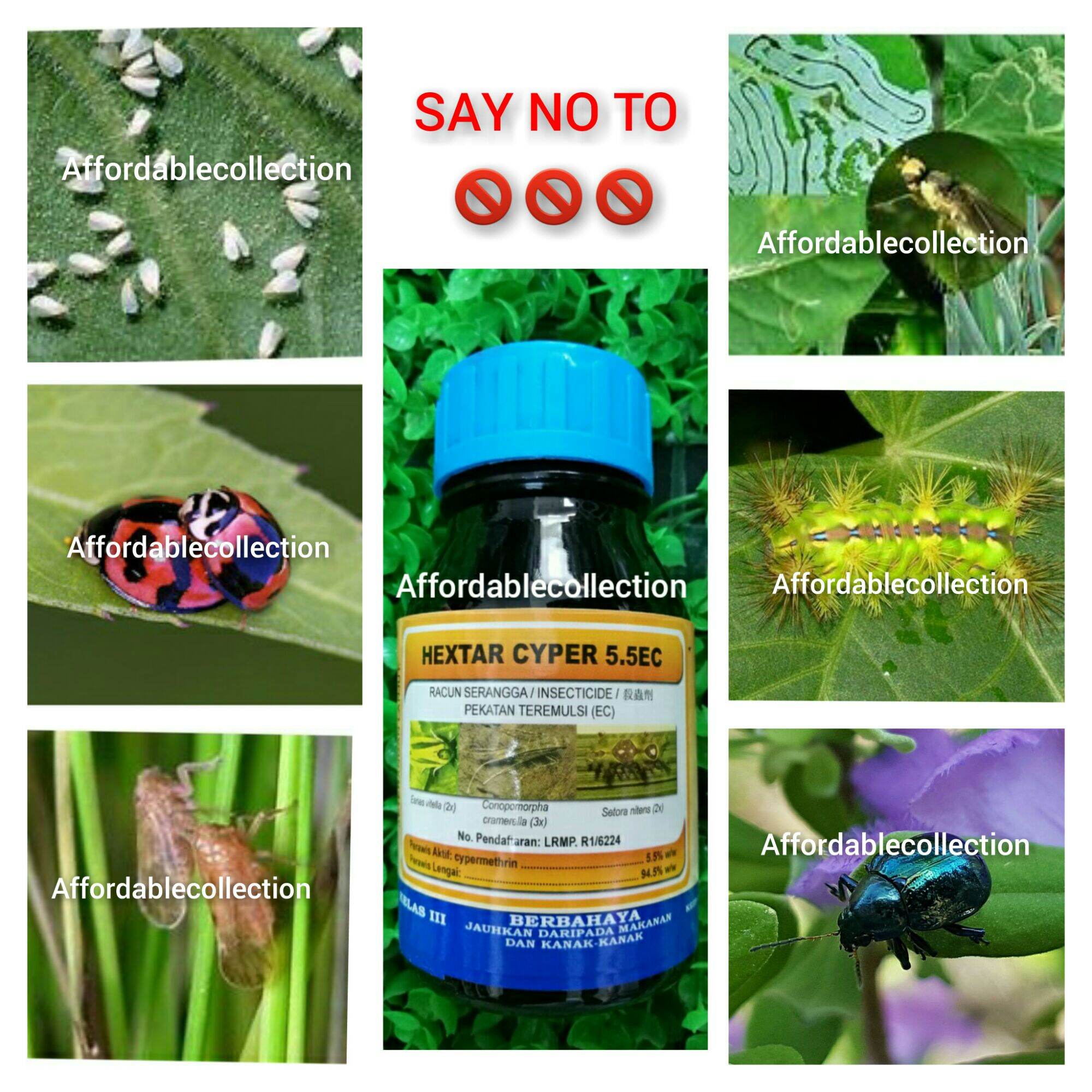 Hextar Cyper Ec Insecticide Racun Serangga Pokok Ml Lazada