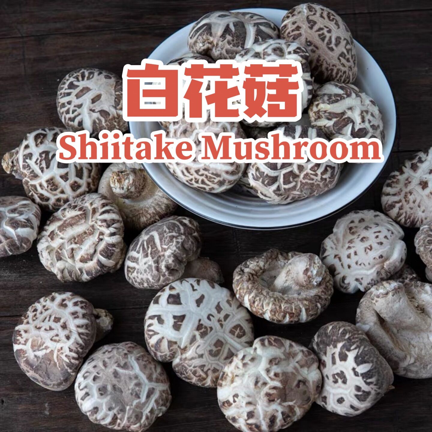 白花菇｜蘑菇｜冬菇｜[ 无硫磺无漂白 ] White Flower Mushroom Shiitake Mushroom Cendawan