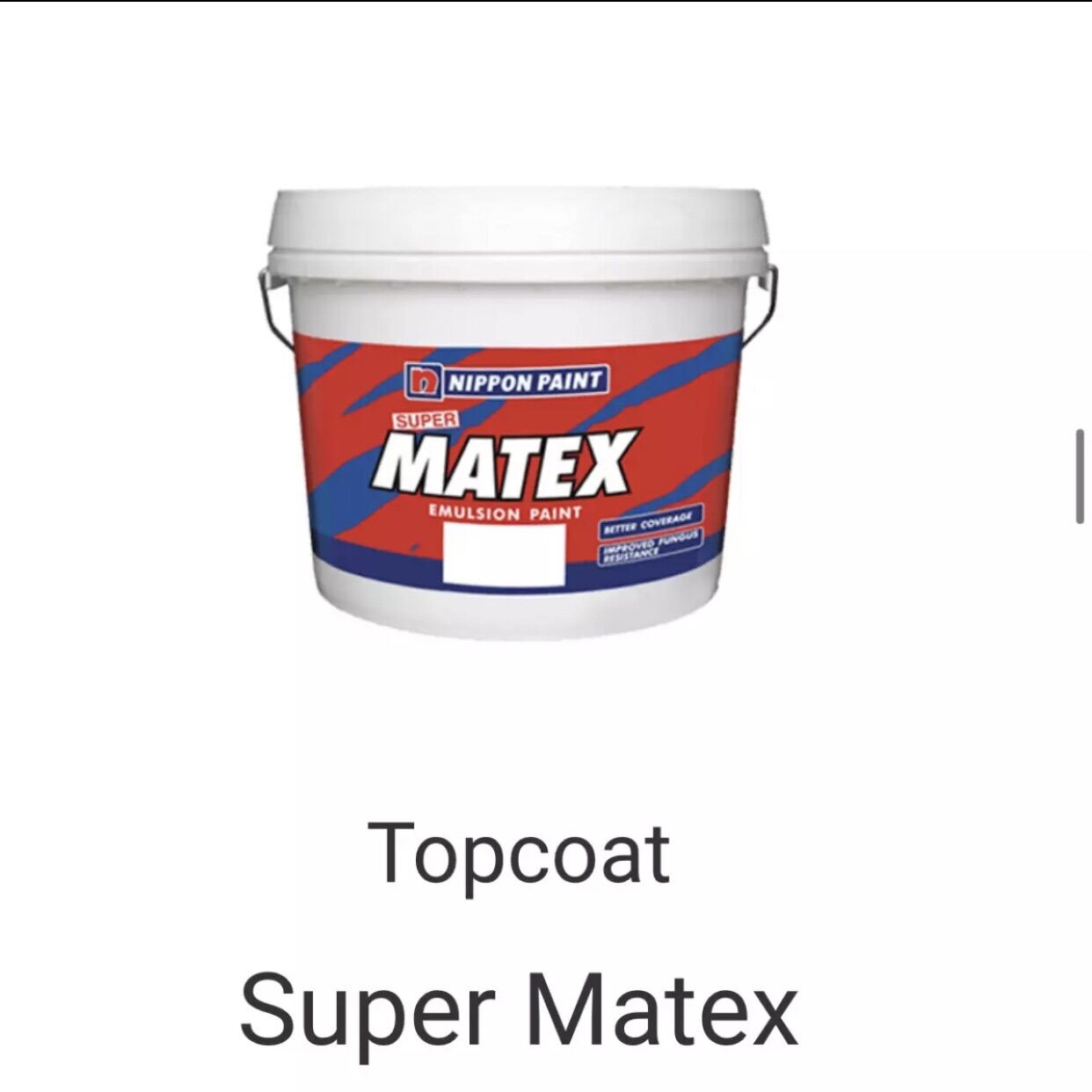 nippon paint matex pro