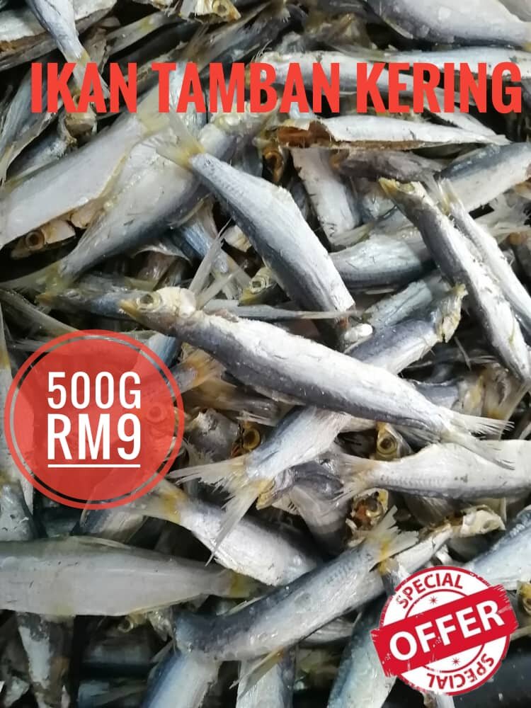 Ikan Tamban Kering 500g = Rm9 | Lazada