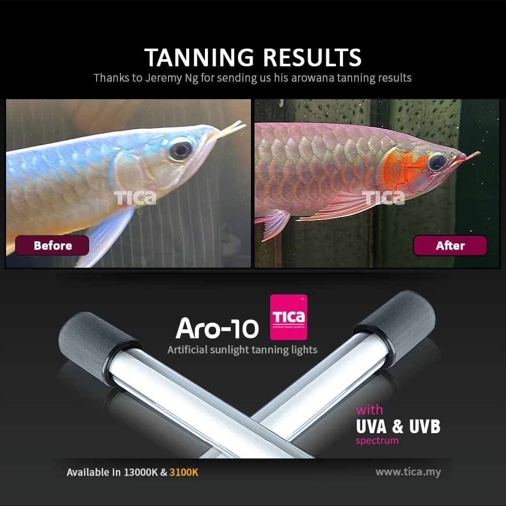 lampu tanning t5ho