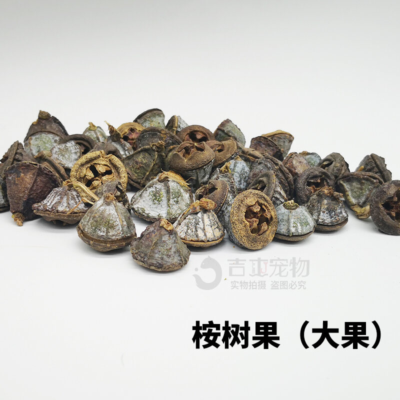 Sugar Glider Eucalyptus Leaves Eucalyptus Branch Fruit Odor Removal Pad