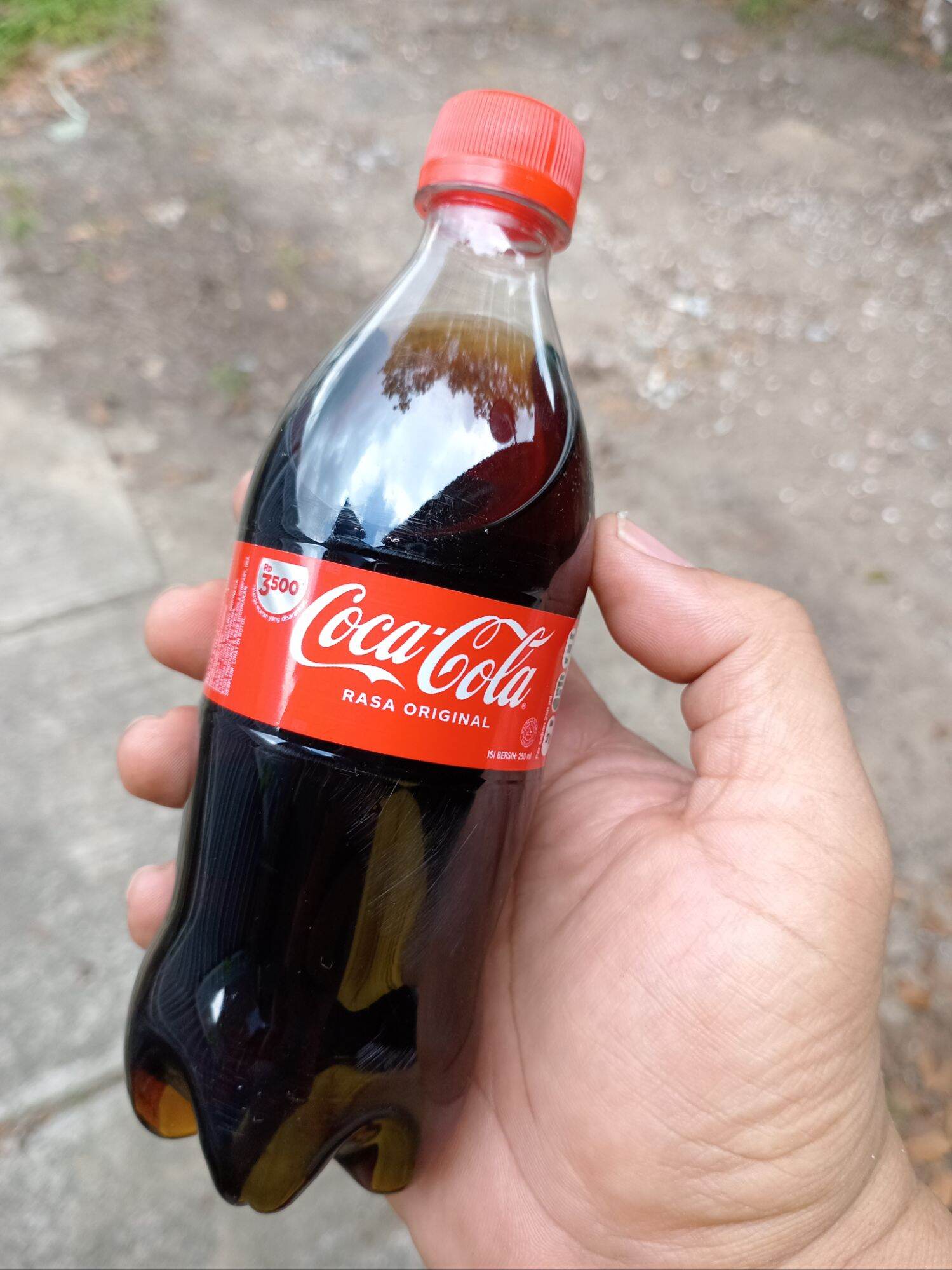 COCA COLA MINI 250ml