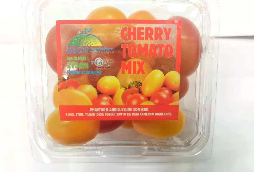 Tomatoes Buy Tomatoes At Best Price In Malaysia Www Lazada Com My Tomatoes Buy Tomatoes At Best Price In Malaysia Www Lazada Com My