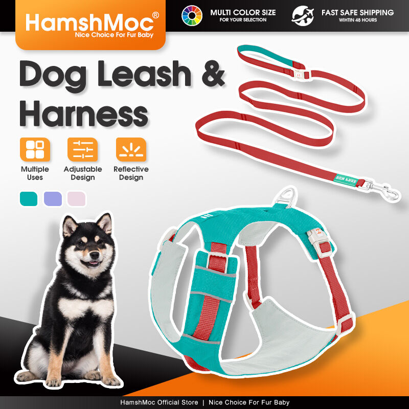 HamshMoc Pet Walking Set 360° Rotation Adjustable Handle LED Light Slot Alloy D Ring Outdoor Safety ราคา 1,724 บาท*ส่งฟรี
