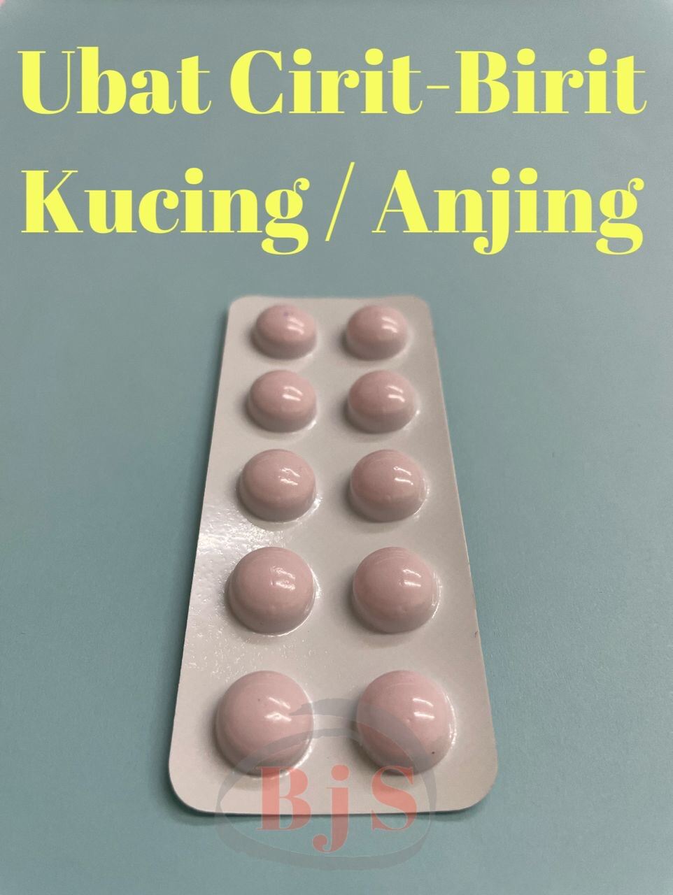 Ubat CiritBirit Kucing/Anjing (10 Biji / 1 Papan) Lazada