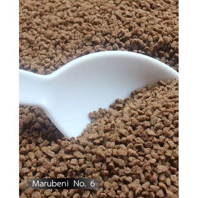 pellet marubeni hight protein 50gram repack marubeni nissin feed | Lazada