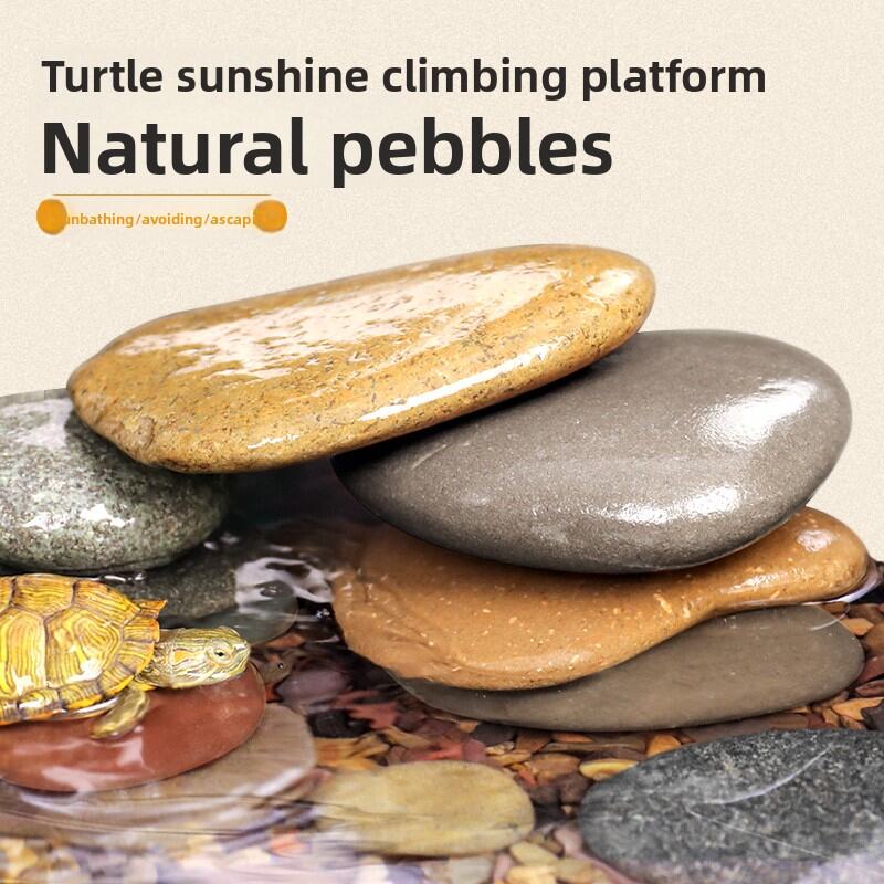 MONLEYTA | Natural Flat Turtle Sunbathing Platform Rock Pools Sceneries Pebbles Turtle Tank Basking Back Climbing Stage Stones Hideout Harga 140 Ringgit*Penghantaran Percuma