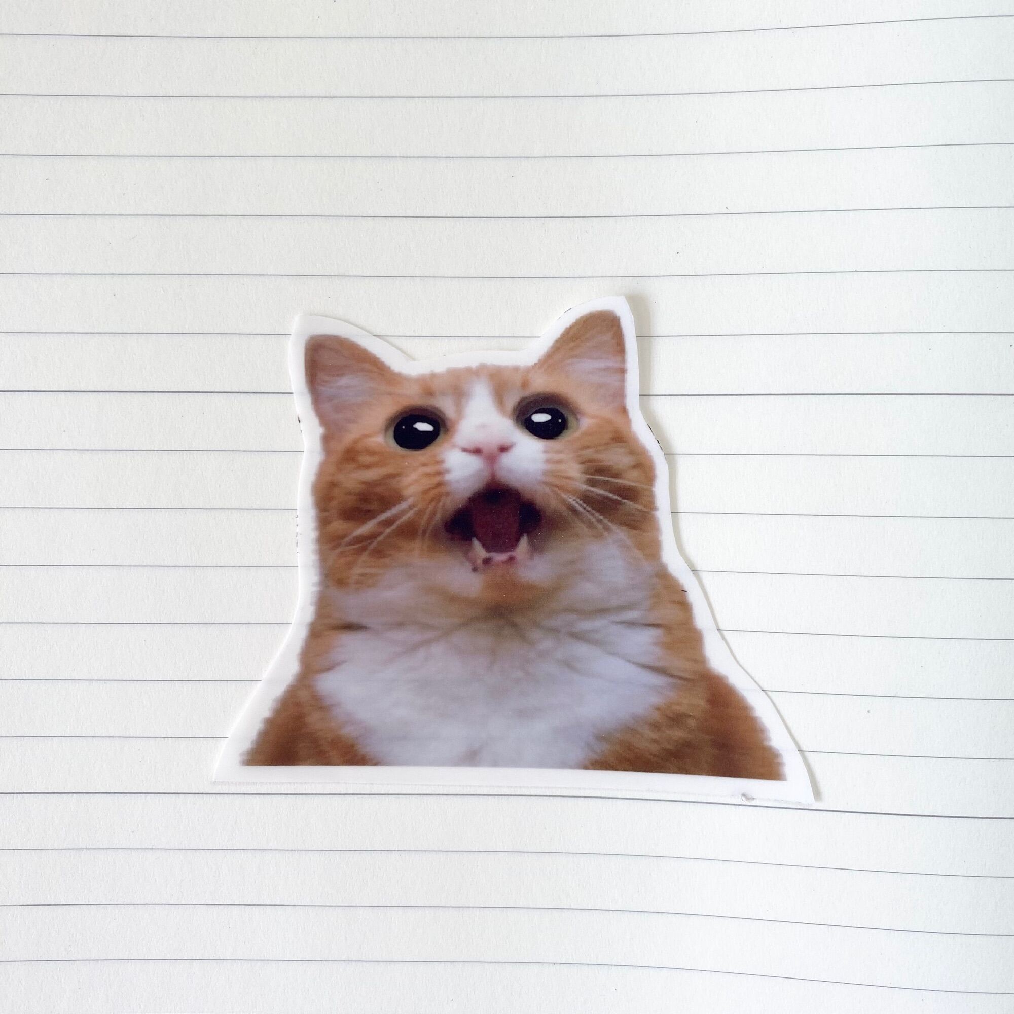 PVC Transparent Funny Cat Meme Sticker Waterproof Notebook Motor Bottle ...