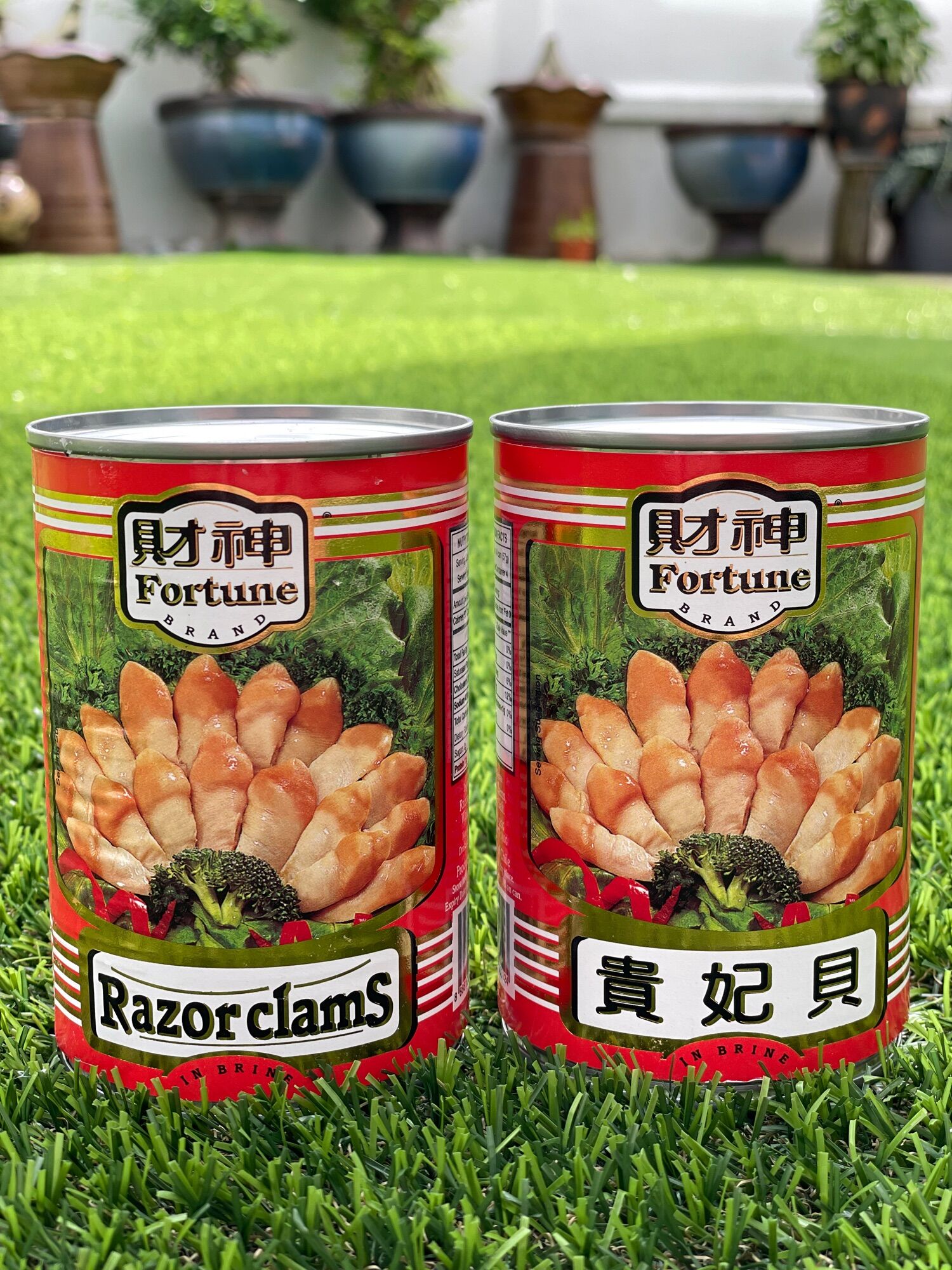 【New Stock 2026 Expired】財神 貴妃貝 /425g Fortune Razor Clams | Lazada