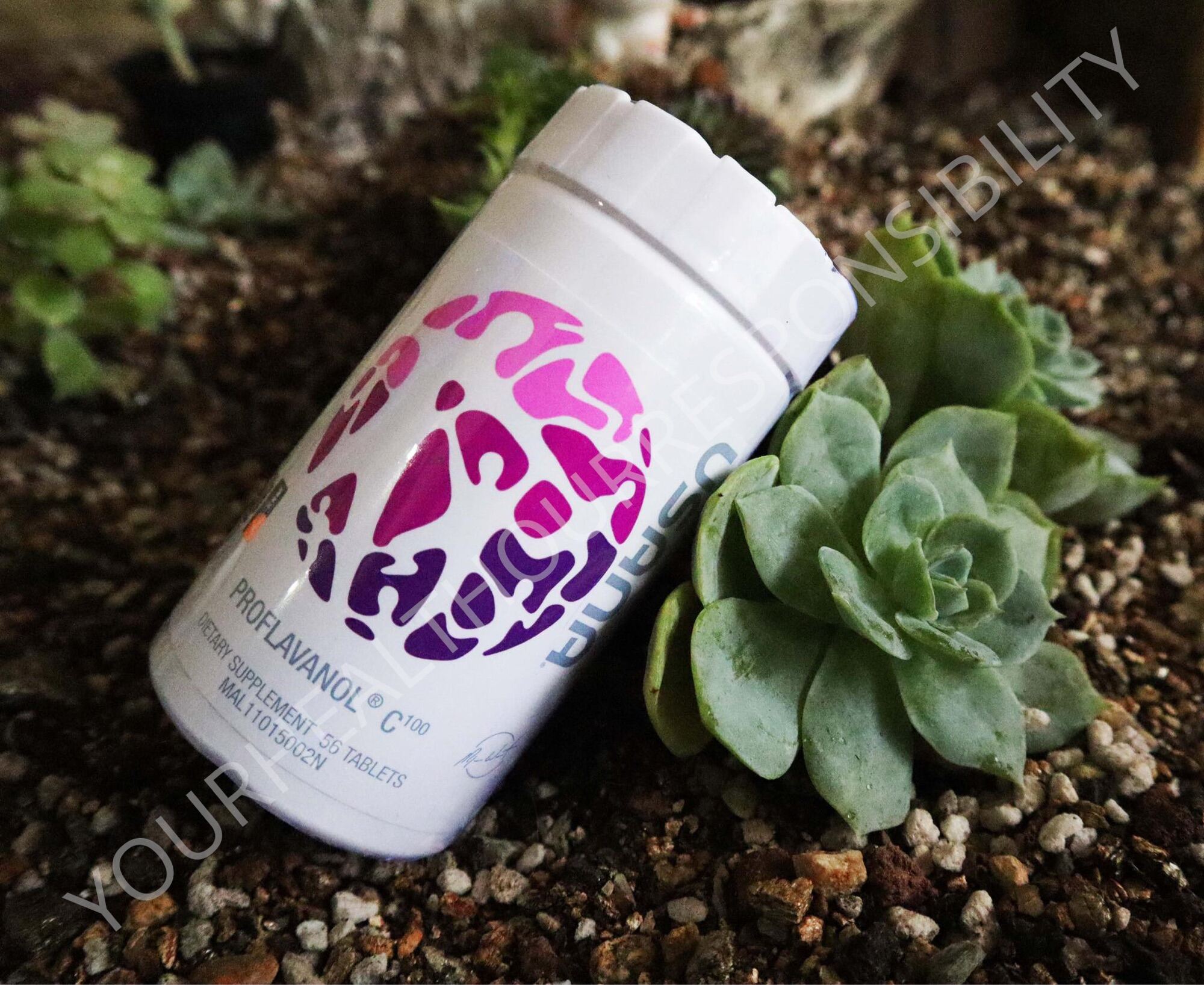 USANA Proflavanol C100 Beauty Health Supplement