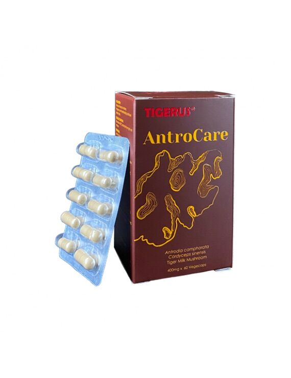 Tigerus Antrocare 400mg 60's vegecaps ( Antrodia camphorata 牛樟芝 for ...