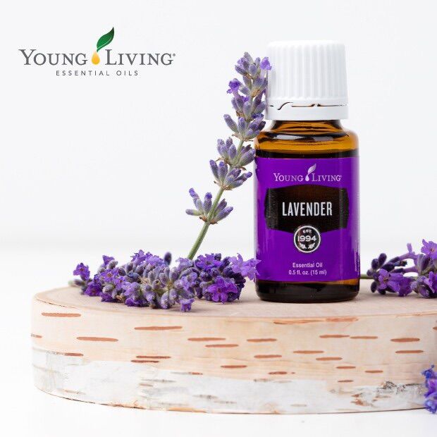 Óleo Essencial de Citronela 15 ml Young Living Malaysia Frete Grátis - Aromaterapia Natural