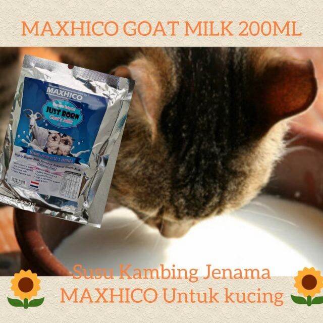 Beli susu anak kucing murah Pada Harga Terendah  Lazada.com.my