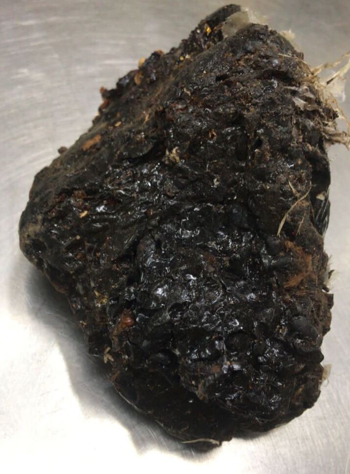 Karuvelam Pisin / MESQUITE TREE GUM / கருவேலம் பிசின் 50G Lazada