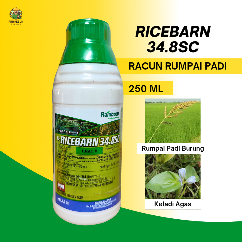 Ricebarn 34 8sc Herbicide Racun Rumpai Padi Racun Rusiga Emas Racun