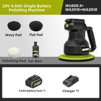 Worx | Stain Removal Polishing Tool