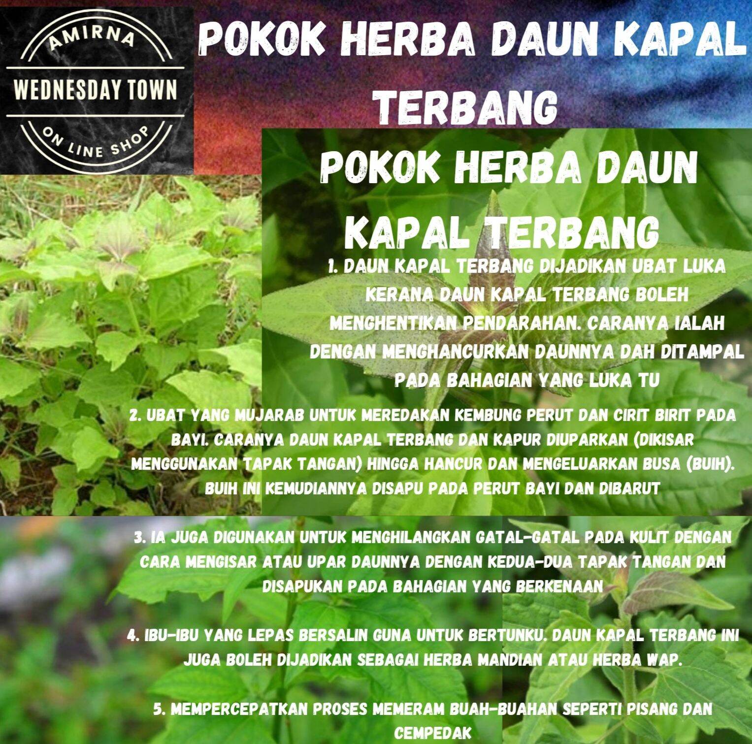 Beli Daun Kapal Terbang Pada Harga Terendah Lazada Com My