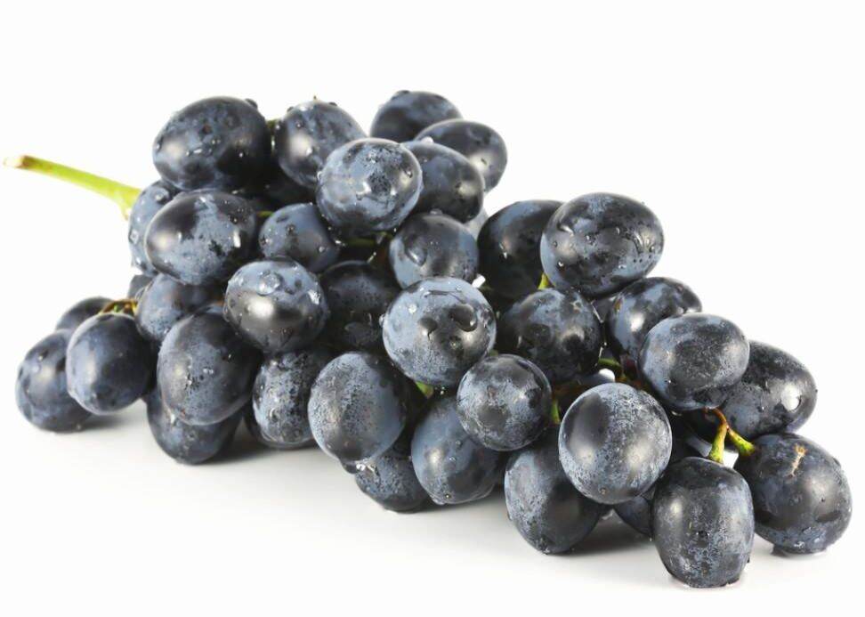 Fresh Grapes / Anggur / 黑葡萄 Black Seedless Grape (500gm) Fresh Fruit ...