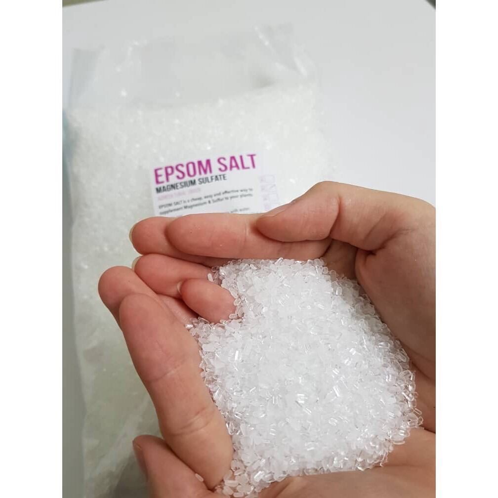 epson salt. Baja Garam 2kg Lazada