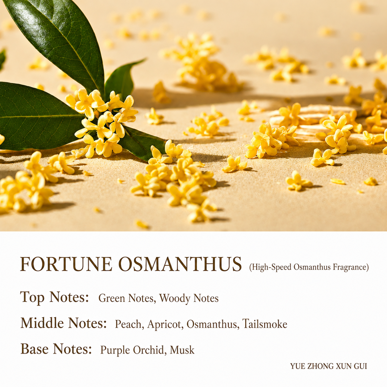 【SongChao】Osmanthus Reed Diffuser Elegant Home Fragrance Glass Bottle for Bedroom Living Room Office