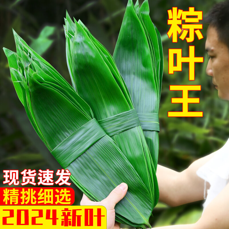 Zongzi Leaf Palm Leaf Fresh Large New Leaf Bag Special Leaves for ...