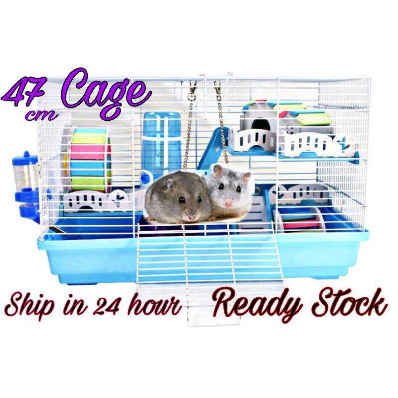 Beli Hamster Crate Pada Harga Terendah Lazada Com My