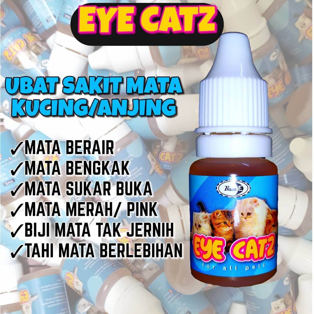 Beli ubat sakit mata untuk kucing Pada Harga Terendah  Lazada.com.my