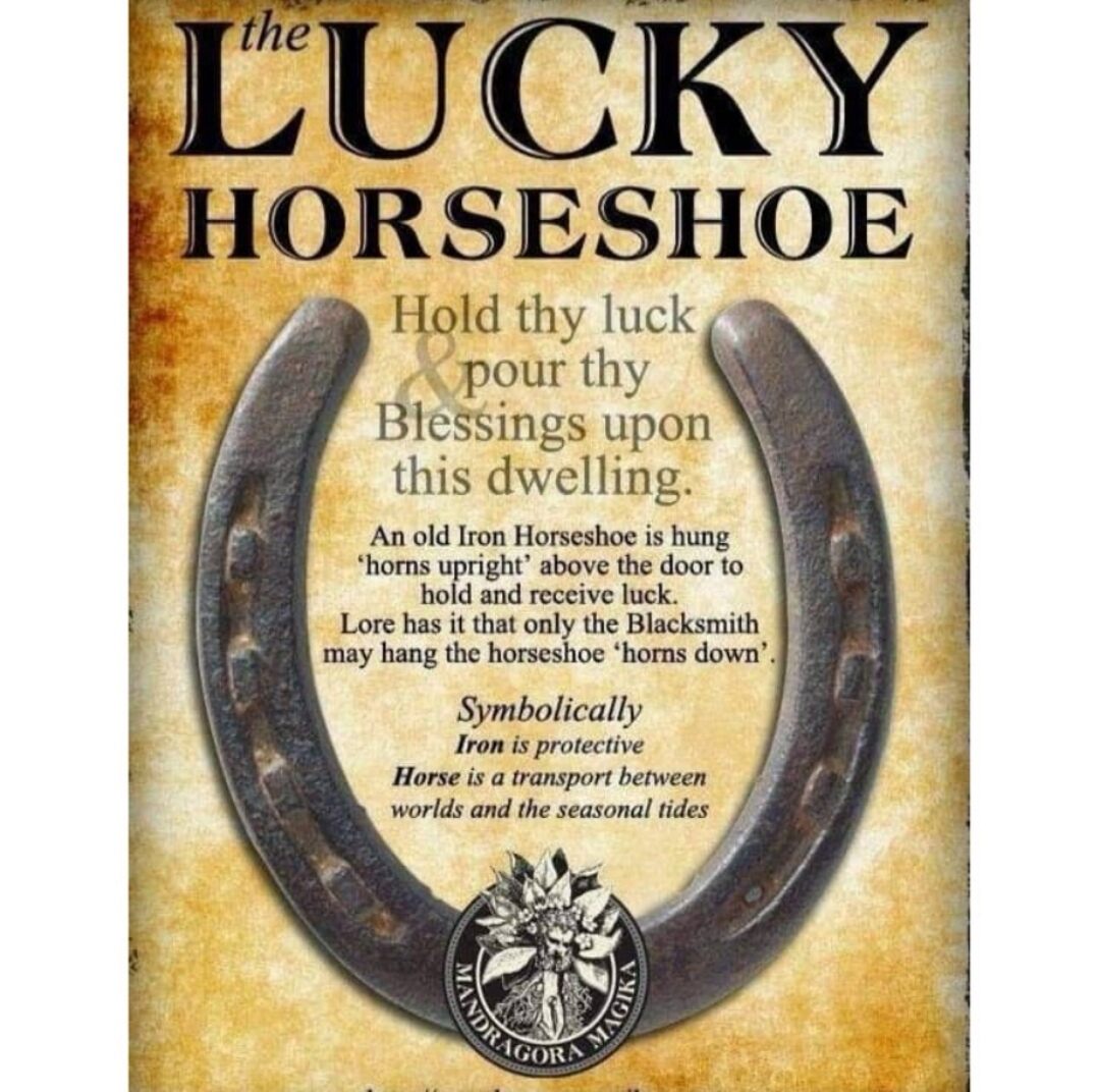 [100 ORIGINAL] Rust/Used Black Horse Shoe / Kuthirai Laadam / Ladam