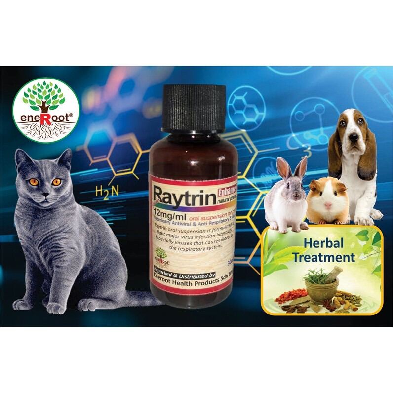 FREE 2ml syringe) Pet Medicine All in one for Cats u0026 Dogs for 