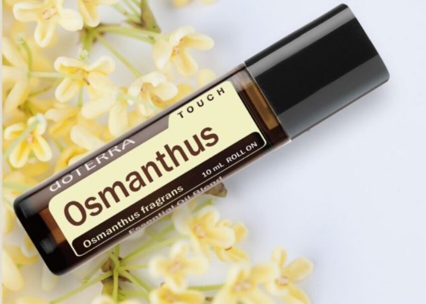 Osmanthus Touch 桂花滚珠10ml Osmanthus Touch Essential Oil