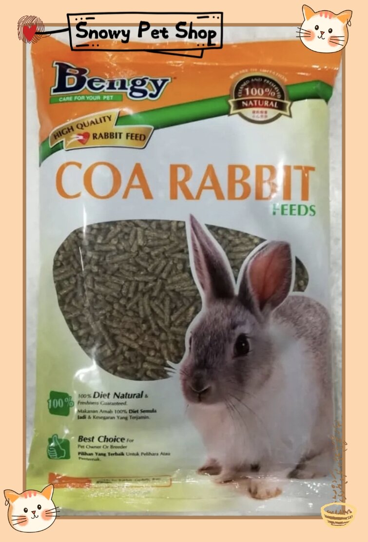 Bengy 2025 rabbit food