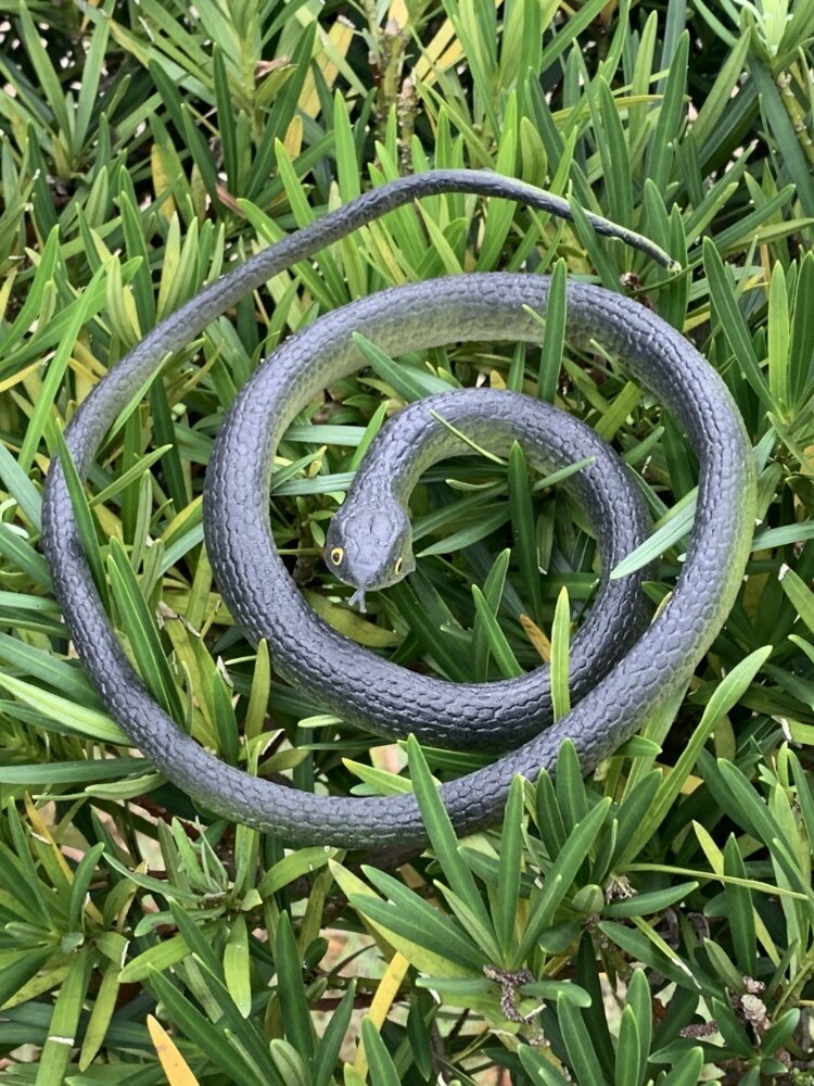 Scary Realistic Soft Rubber Snake Model Toy Fake Animal Decoration for Prank Children Play Dolls Life Size Cobra Python. 