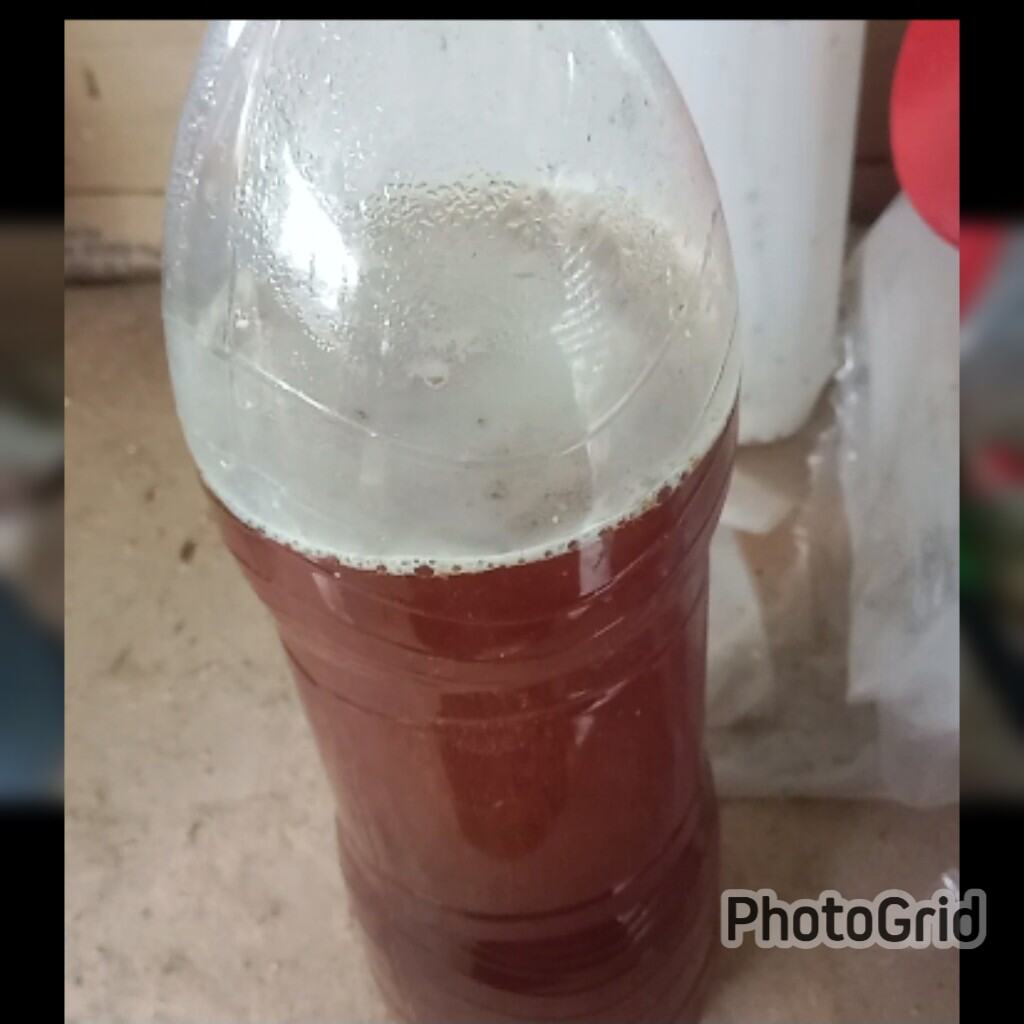 Fungsi Prebiotik dalam Penjagaan Kulit - Bakteria Baik untuk Kulit?