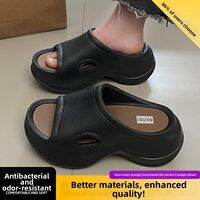 ADDTHIS | Height Increasing Anti-Slip Sponge Heel Slippers