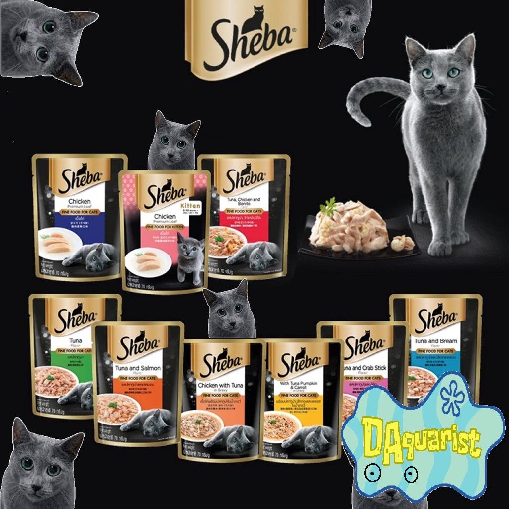 petco kitten milk