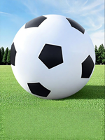 TANGJIUGONG | Outdoor Interactive Parent-Child Large Soccer Ball