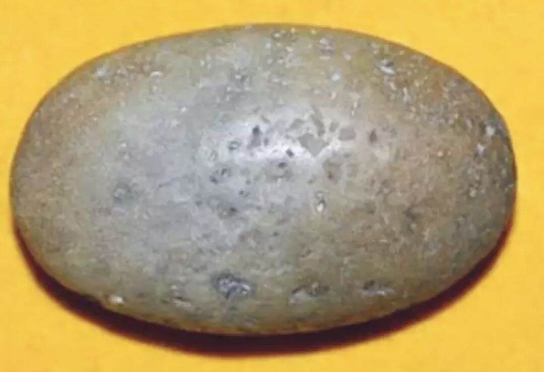 TELUR BATU GELIGA ULAR ASLI MAMPU BERCAHAYA | Lazada