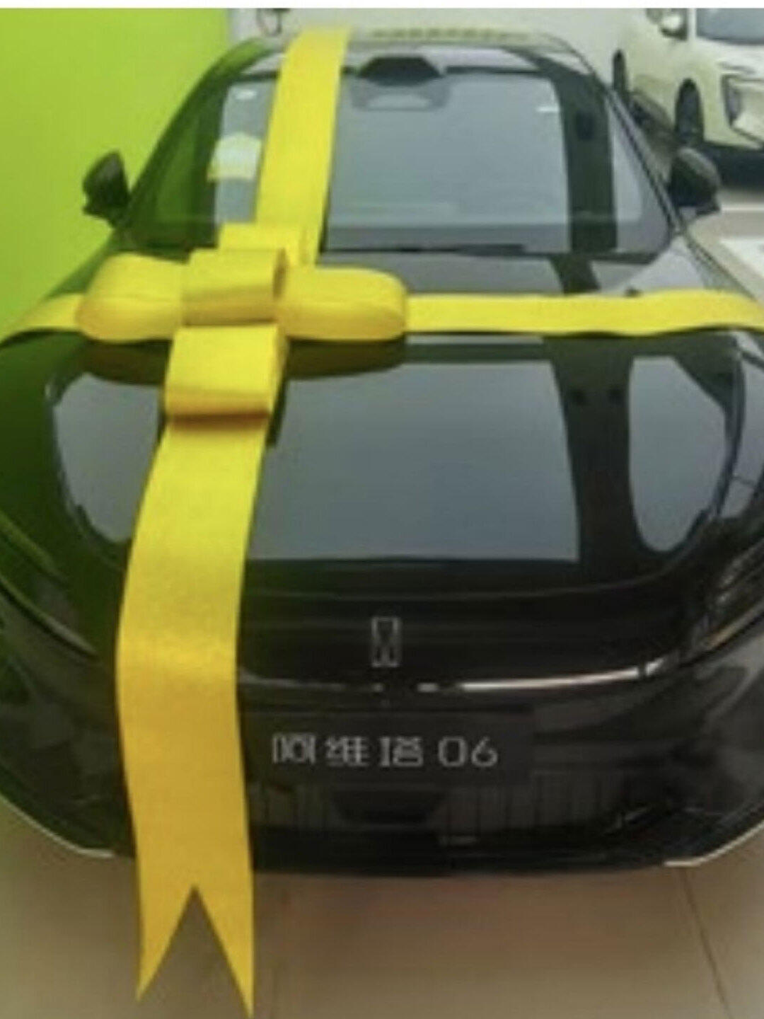 Car Delivery Butterfly Knot Display Hall Decoration Avatr Flash Powder Gold And Silver Large Red Flower Ribbon Festive Supplies Harga  160 Ringgit*Penghantaran Percuma