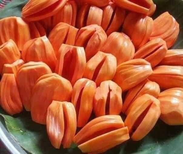 Pokok Kahwin Nangka Madu Thai Suriya Oren Jackfruit Live Plant Lazada