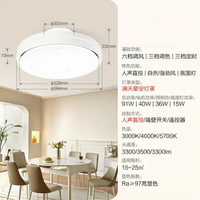 Bull | Leafless Ceiling Fan Light for Rooms