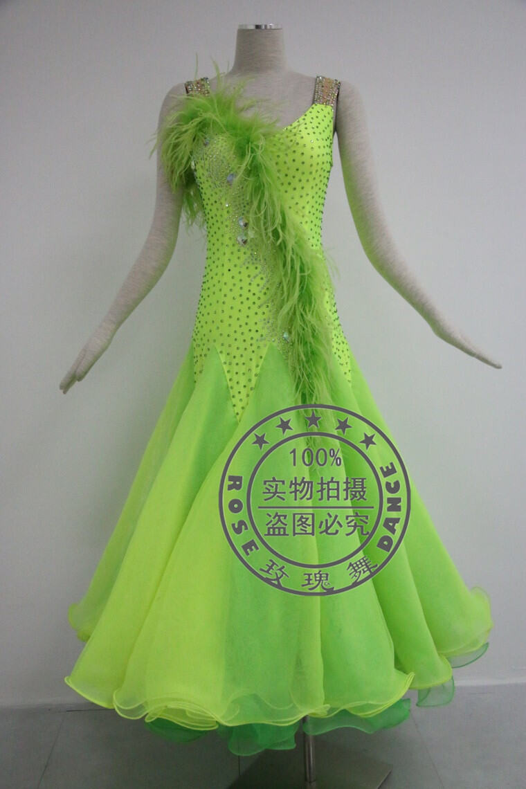 Rose Dance 99 Modern Ballroom Dance National Standard Ostrich Feather Sleeveless Silm Professional Performance Dancing Dress Competition Dress