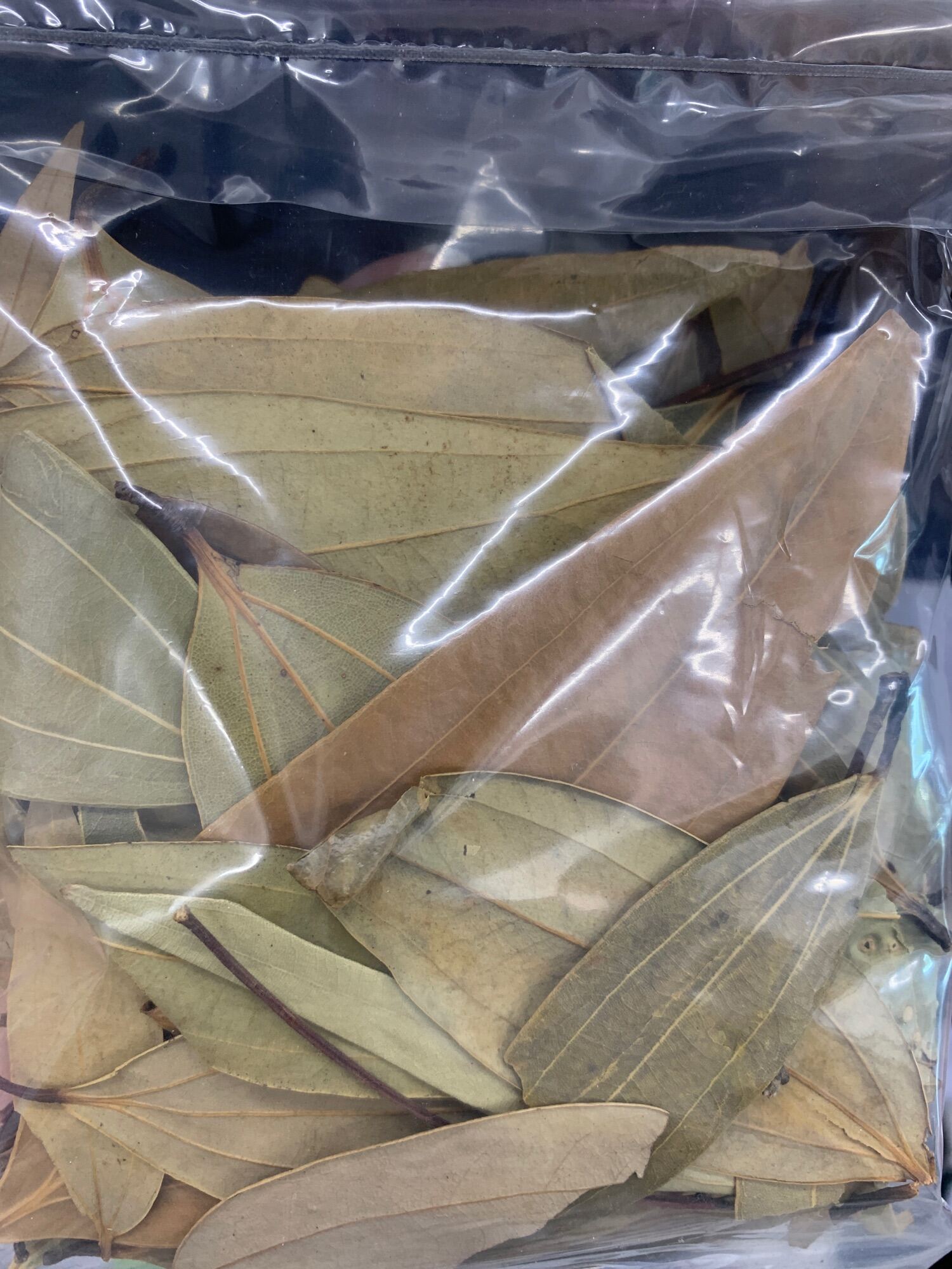 Bay Leaf （Indian) Daun Briyani 月桂叶 [READY STOCK]20gm Lazada