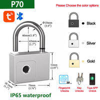 RAYKUBE Tuya Smart Padlock Fingerprint Waterproof USB Charging Quick Identification Unlock Sensor High Quality P70/P55/PQ1
