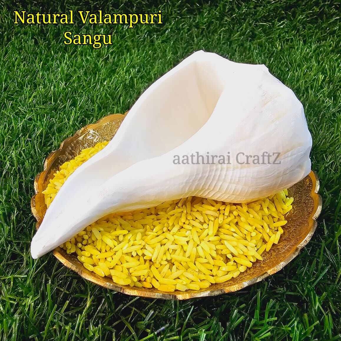 ORIGINAL NATURAL PURE SHANKH / VALAMPURI SANGU | Lazada