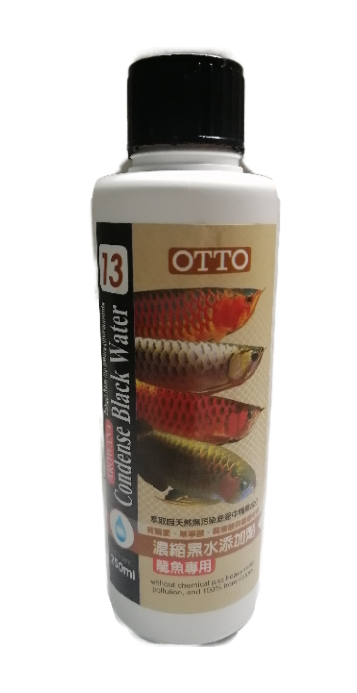 arowana black water