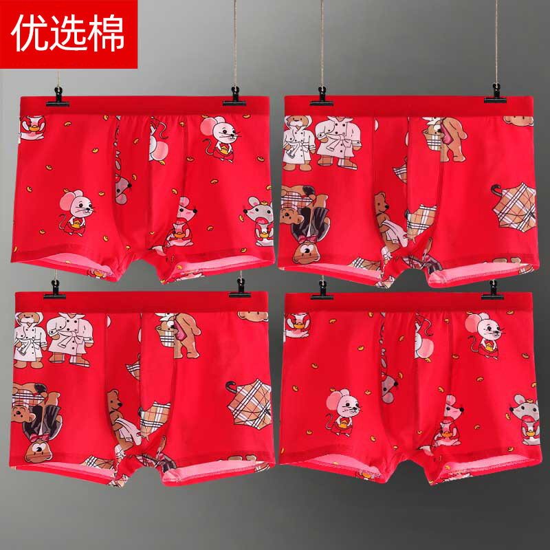 Japanese WeightCatcher Boy Underwear Pure Cotton Boy's Birth Year plus