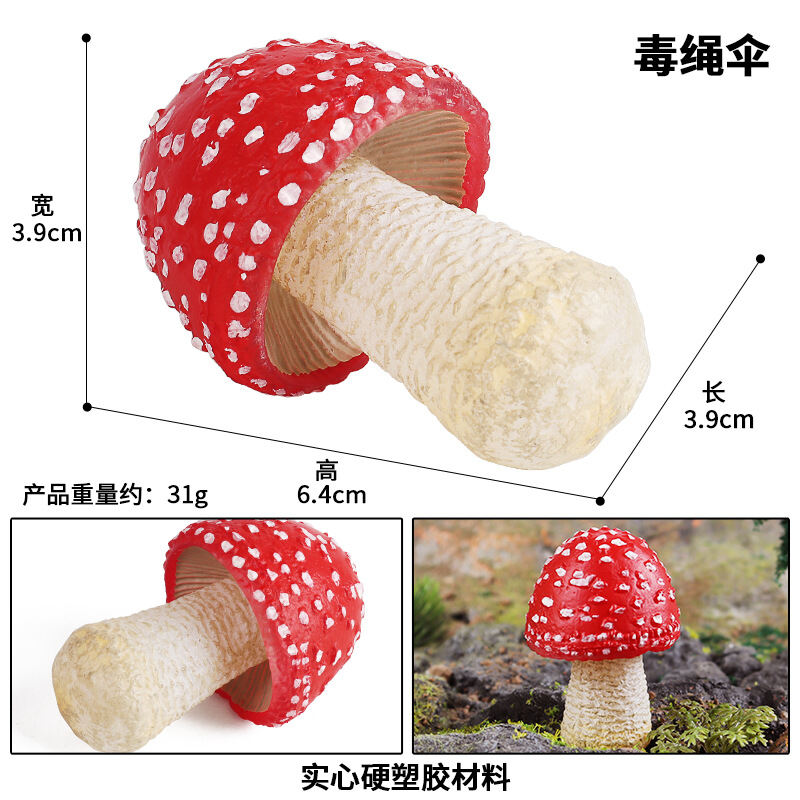 simulation-mushroom-model-dig-which-sentence-fragrant-mushroom-fungus