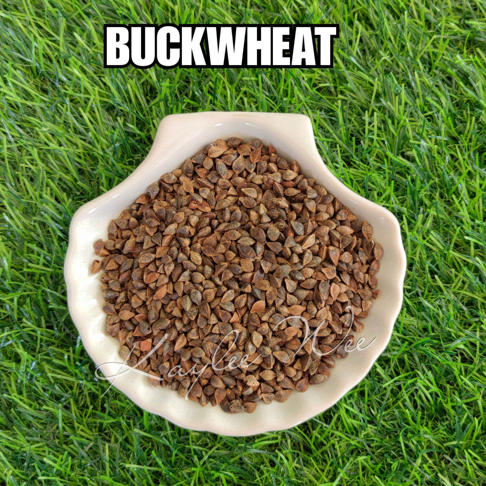 BUCKWHEAT 1KG Lazada Buy sell online Bird Feed with cheap price Lazada