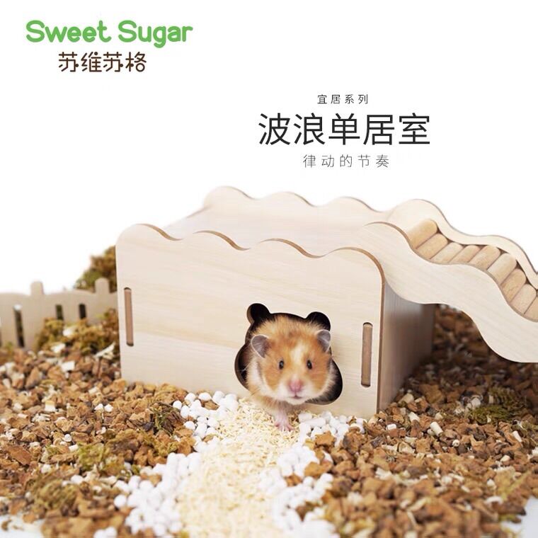 sugar hamster